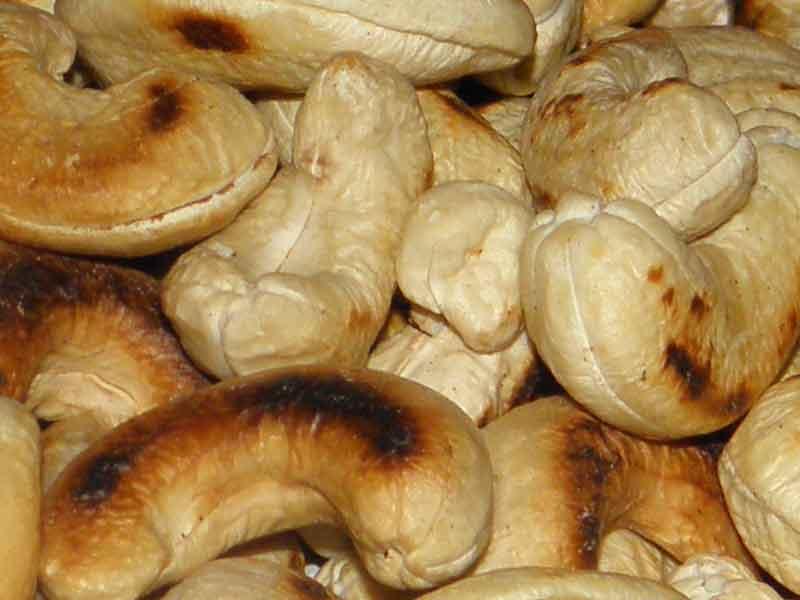 Cashew-0.1-off---------